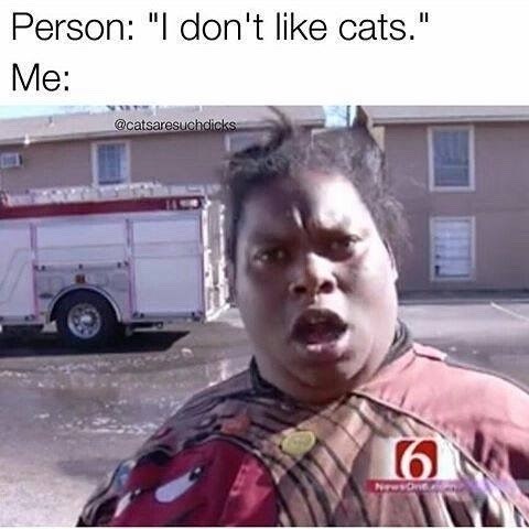 Person: "I don't like cats." Me: @catsaresuchdicks 6 NewsOne.
