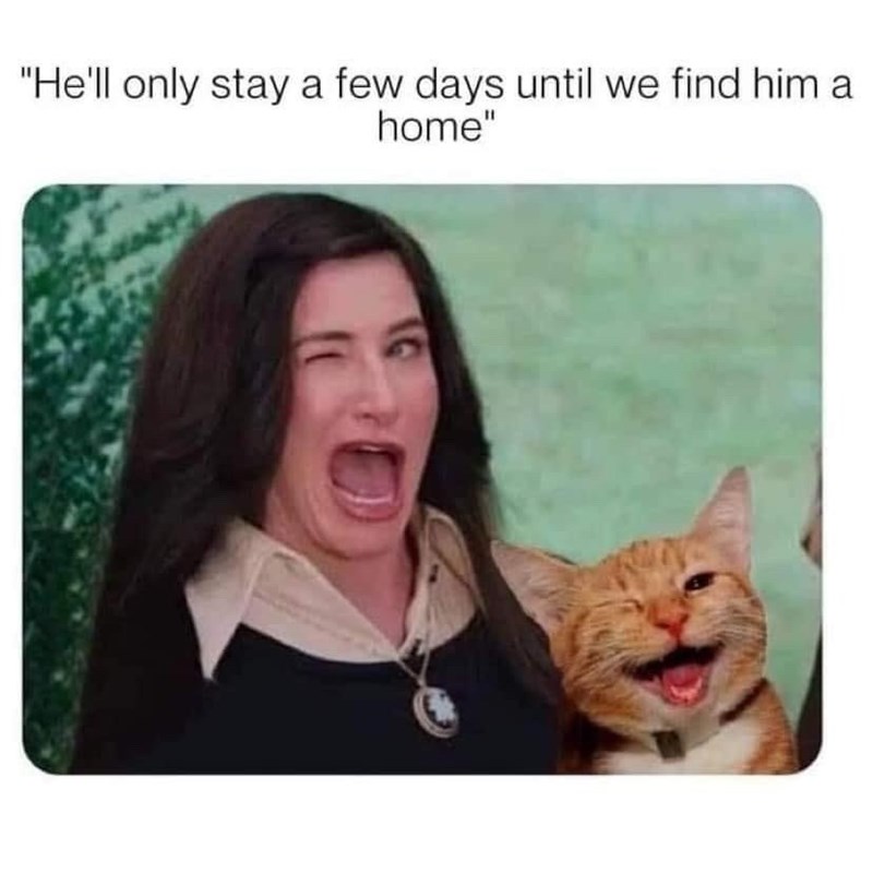 "He'll only stay a few days until we find him a home"