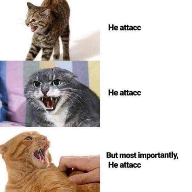 He attacc He attacc But most importantly, He attacc