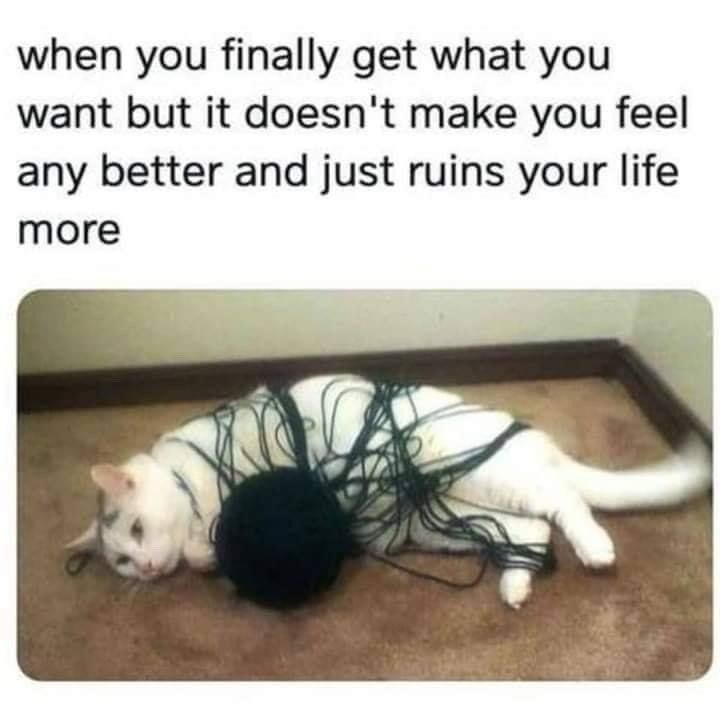 when you finally get what you want but it doesn't make you feel any better and just ruins your life more