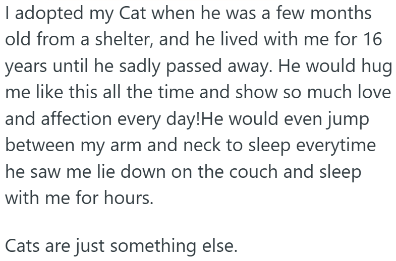 I adopted my Cat when he was a few months old from a shelter, and he lived with me for 16 years until he sadly passed away. He would hug me like this all the time and show so much love and affection every day! He would even jump between my arm and neck to sleep everytime he saw me lie down on the couch and sleep with me for hours. Cats are just something else.