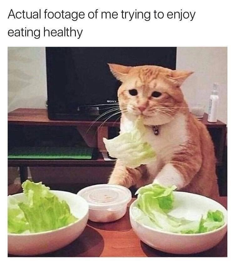 Actual footage of me trying to enjoy eating healthy SONY