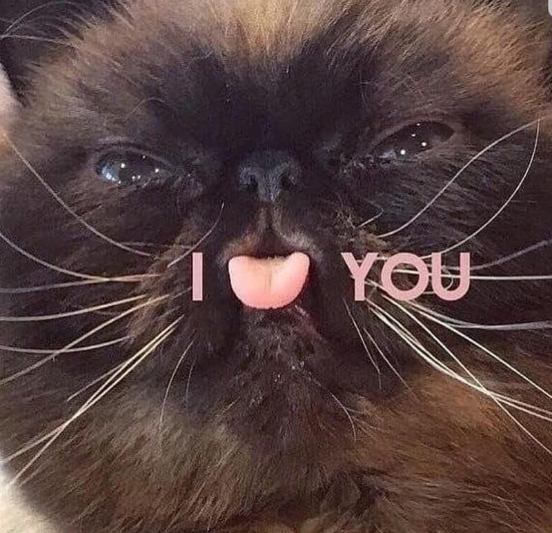 not