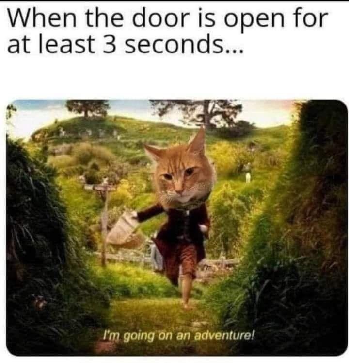 When the door is open for at least 3 seconds... I'm going on an adventure!