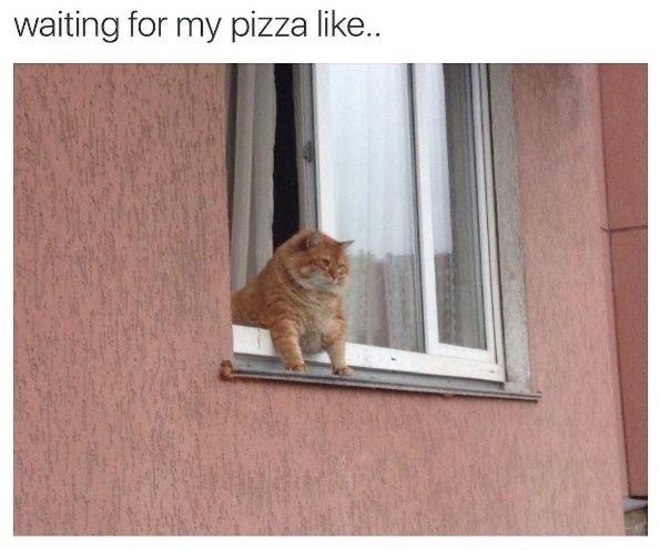 waiting for my pizza like..