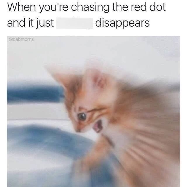 When you're chasing the red dot and it just @dabmoms disappears