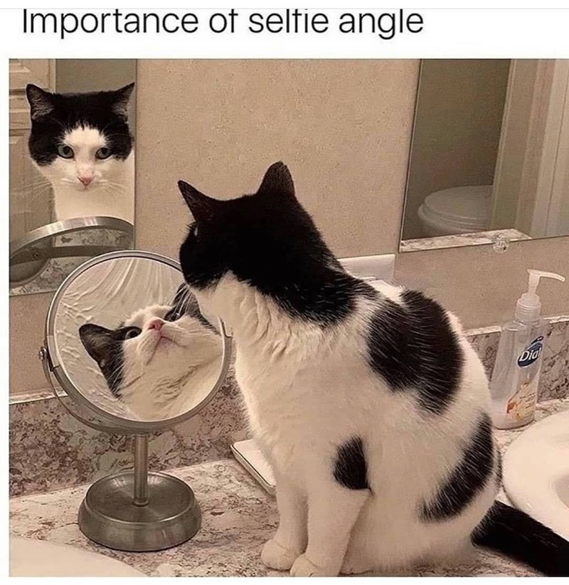 Importance of selfie angle Dia