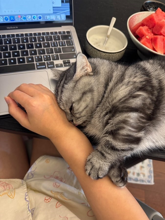 ACT COOTE MacBook Air A T YU 0 P L D V B N M N B .