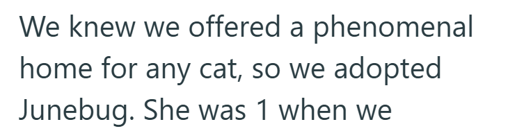 We knew we offered a phenomenal home for any cat, so we adopted Junebug. She was 1 when we