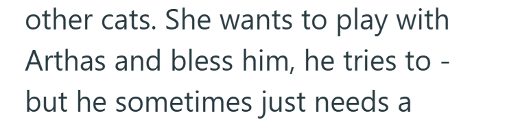 other cats. She wants to play with Arthas and bless him, he tries to - but he sometimes just needs a