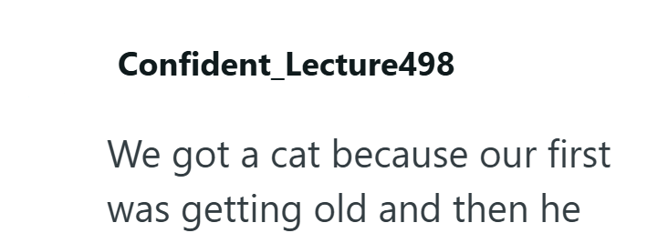 Confident_Lecture498 We got a cat because our first was getting old and then he