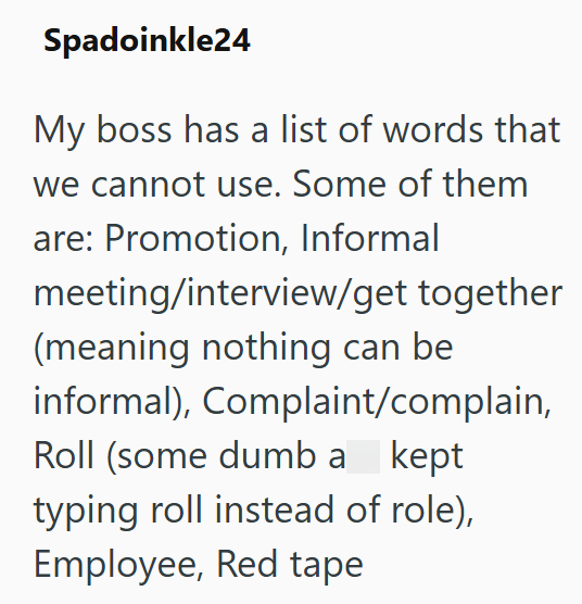 Spadoinkle24 My boss has a list of words that we cannot use. Some of them are: Promotion, Informal meeting/interview/get together (meaning nothing can be informal), Complaint/complain, Roll (some dumb a kept typing roll instead of role), Employee, Red tape
