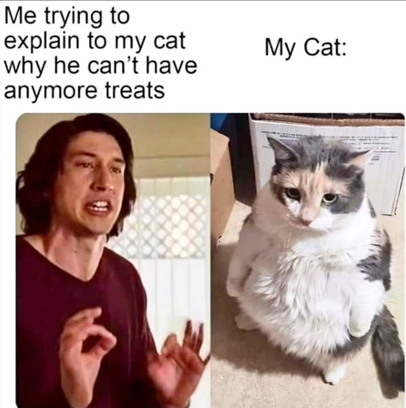 Me trying to explain to my cat why he can't have anymore treats My Cat: