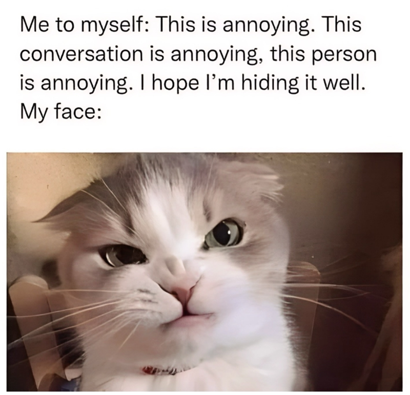 Me to myself: This is annoying. This conversation is annoying, this person is annoying. I hope I'm hiding it well. My face: