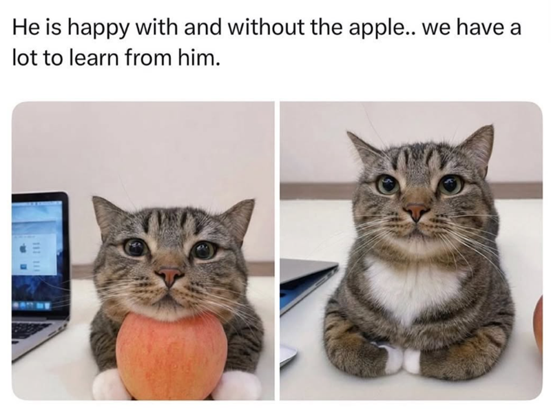 He is happy with and without the apple.. we have a lot to learn from him. 111 111