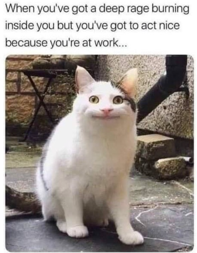 When you've got a deep rage burning inside you but you've got to act nice because you're at work...