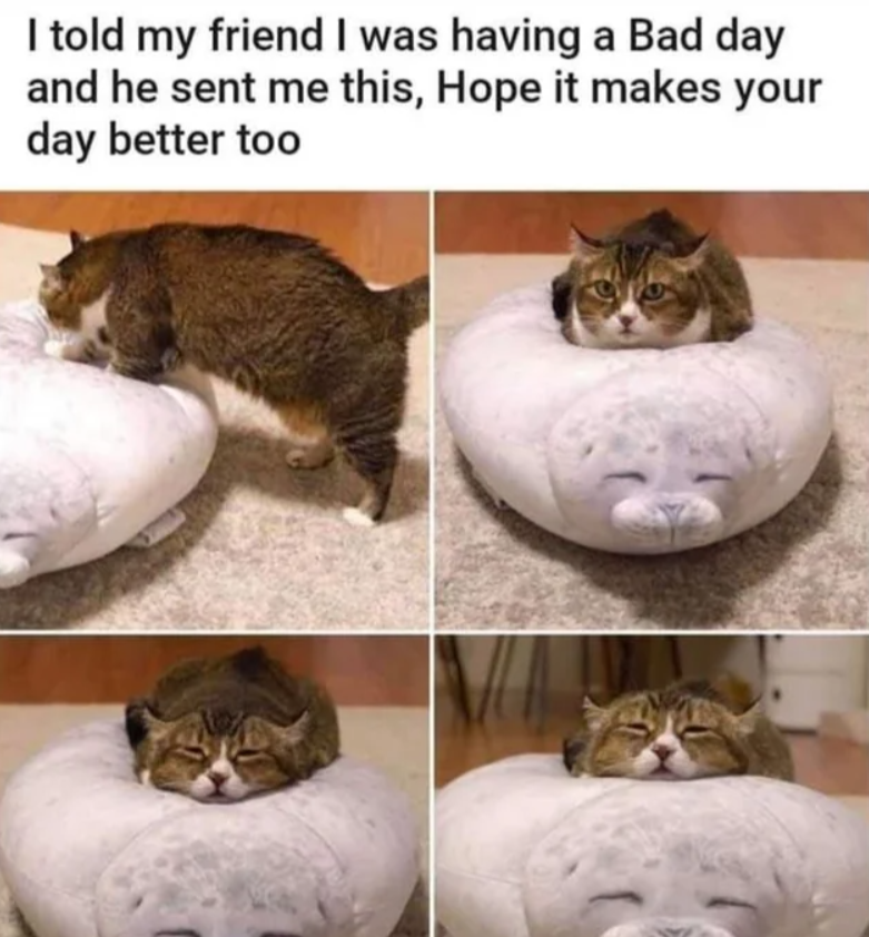 I told my friend I was having a Bad day and he sent me this, Hope it makes your day better too