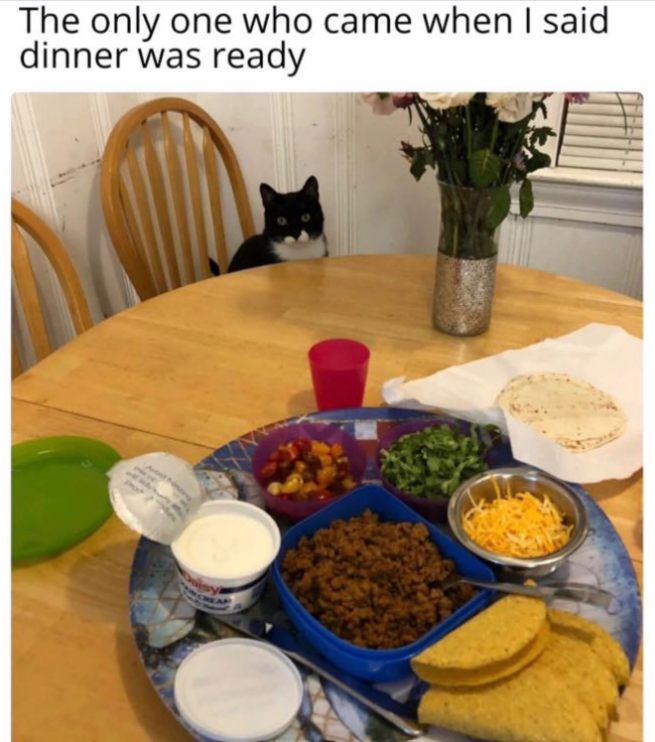 The only one who came when I said dinner was ready