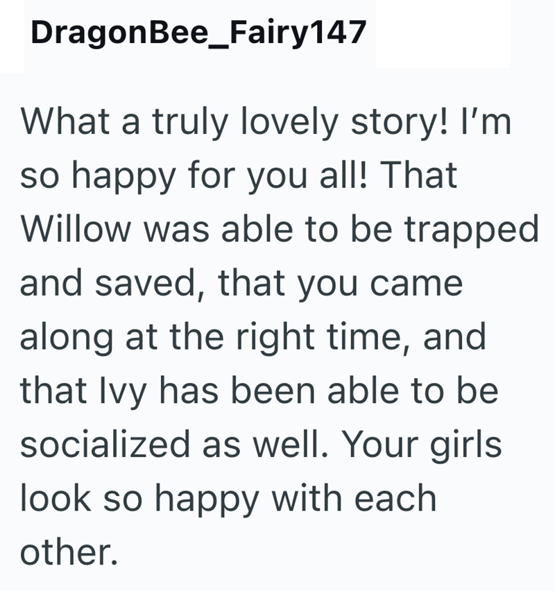 DragonBee_Fairy147 What a truly lovely story! I'm so happy for you all! That Willow was able to be trapped and saved, that you came along at the right time, and that Ivy has been able to be socialized as well. Your girls look so happy with each other.