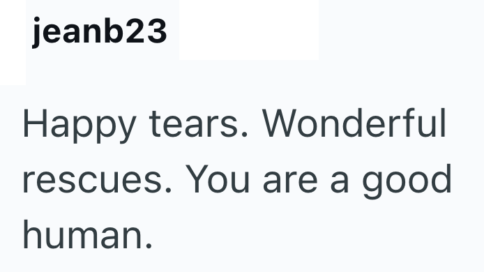 jeanb23 Happy tears. Wonderful rescues. You are a good human.