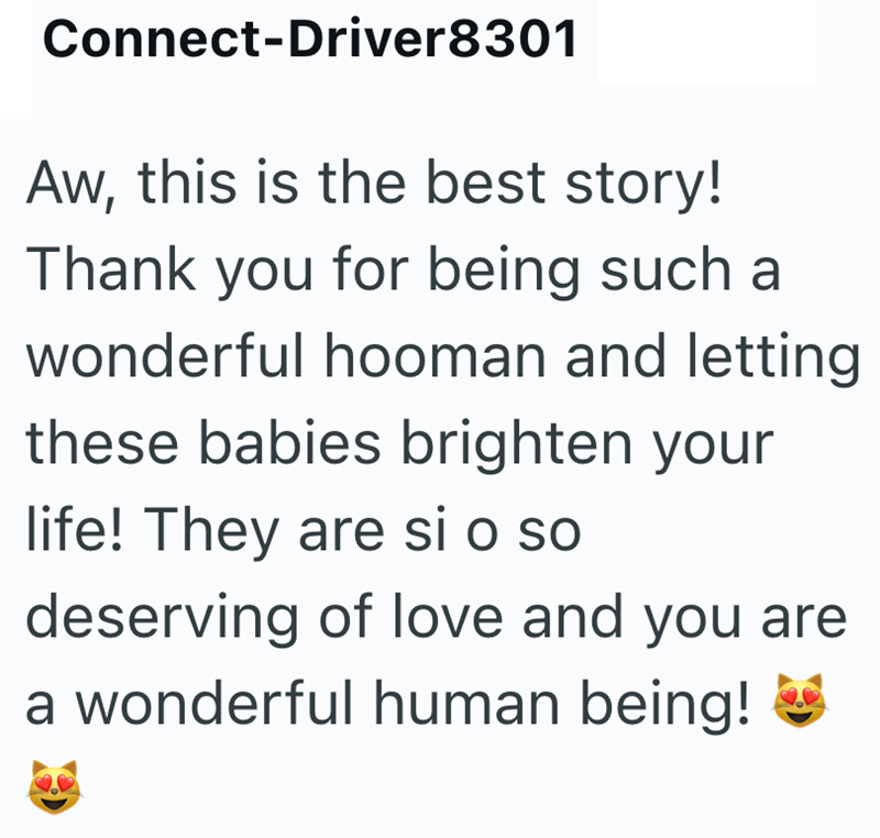 Connect-Driver8301 Aw, this is the best story! Thank you for being such a wonderful hooman and letting these babies brighten your life! They are si o so deserving of love and you are a wonderful human being!