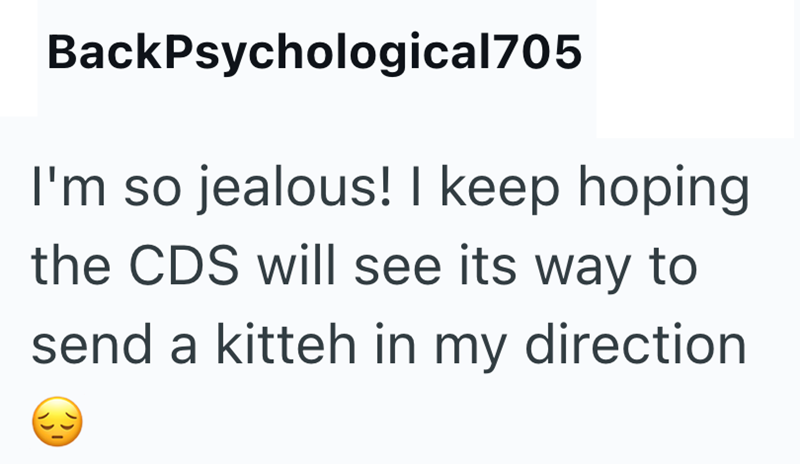 BackPsychological705 I'm so jealous! I keep hoping the CDS will see its way to send a kitteh in my direction