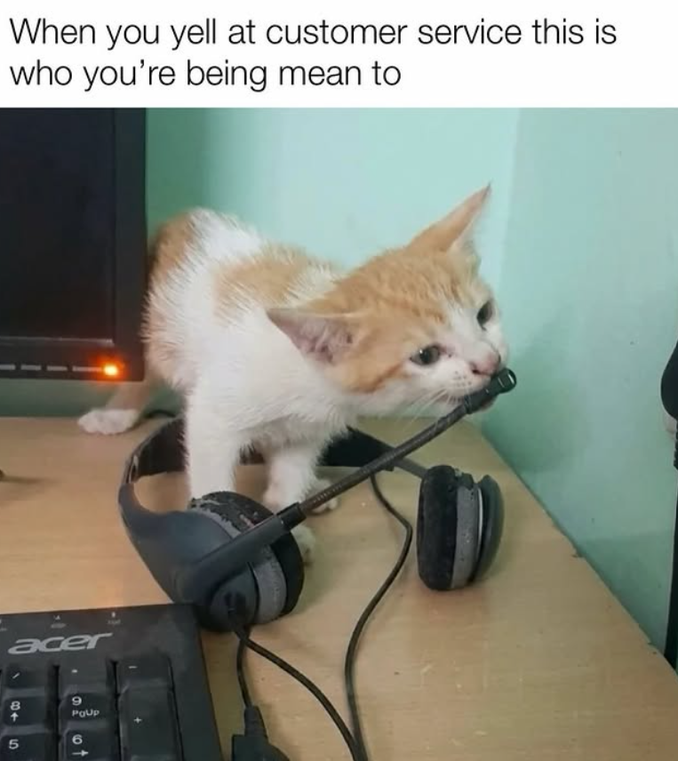 When you yell at customer service this is who you're being mean to acer 8+ 5 PQUp 6