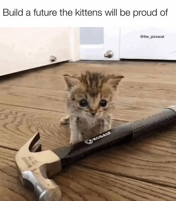 Build a future the kittens will be proud of KOBALT @the_pizzacat
