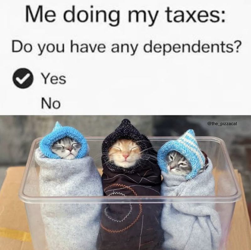 Me doing my taxes: Do you have any dependents? Yes No @the_pizzacat