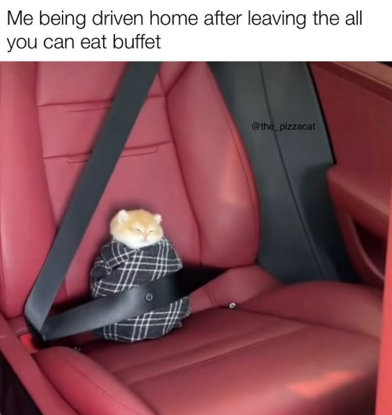 Me being driven home after leaving the all you can eat buffet @the_pizzacat