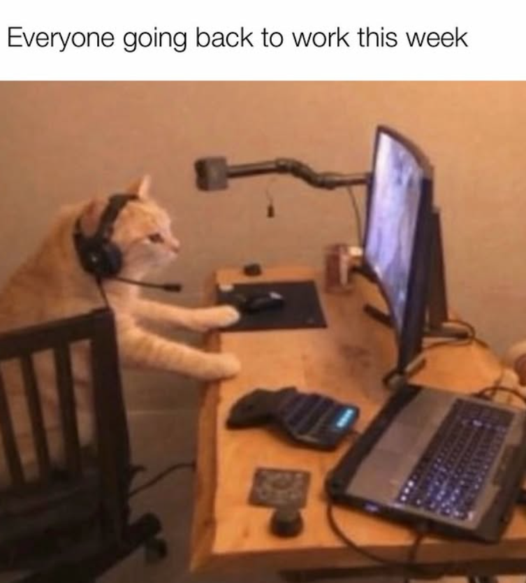 Everyone going back to work this week