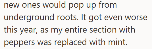 new ones would pop up from underground roots. It got even worse this year, as my entire section with peppers was replaced with mint.