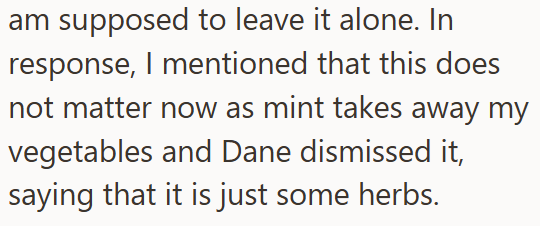 am supposed to leave it alone. In response, I mentioned that this does not matter now as mint takes away my vegetables and Dane dismissed it, saying that it is just some herbs.