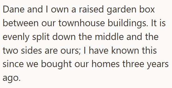 Dane and I own a raised garden box between our townhouse buildings. It is evenly split down the middle and the two sides are ours; I have known this since we bought our homes three years ago.