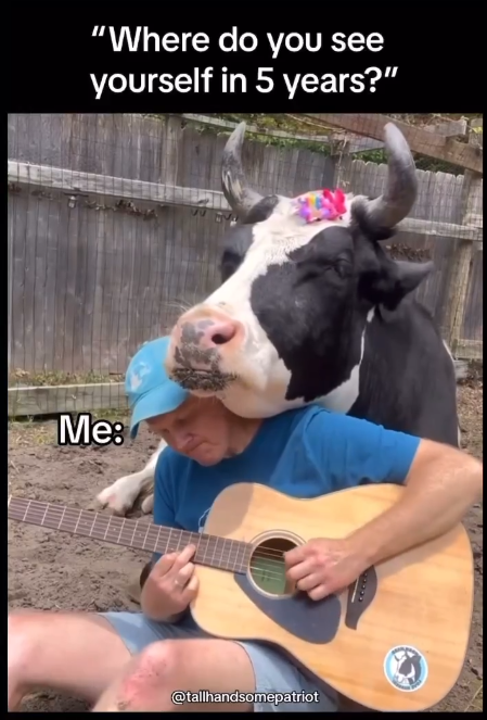 "Where do you see yourself in 5 years?" Me: @tallhandsomepatriot