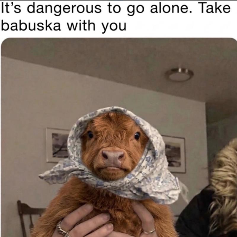 It's dangerous to go alone. Take babuska with you