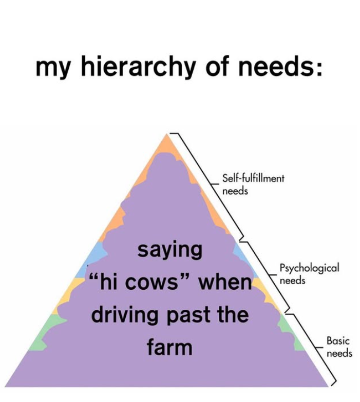 my hierarchy of needs: Self-fulfillment needs saying "hi cows" when driving past the farm Psychological needs Basic needs