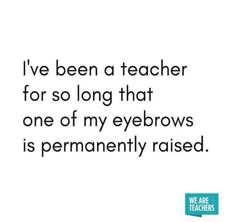 I've been a teacher for so long that one of my eyebrows is permanently raised. WE ARE TEACHERS