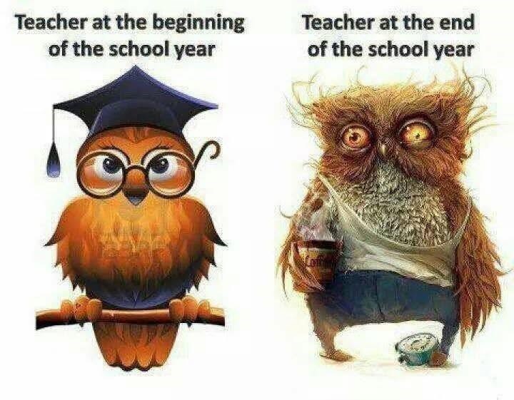 Teacher at the beginning of the school year Teacher at the end of the school year