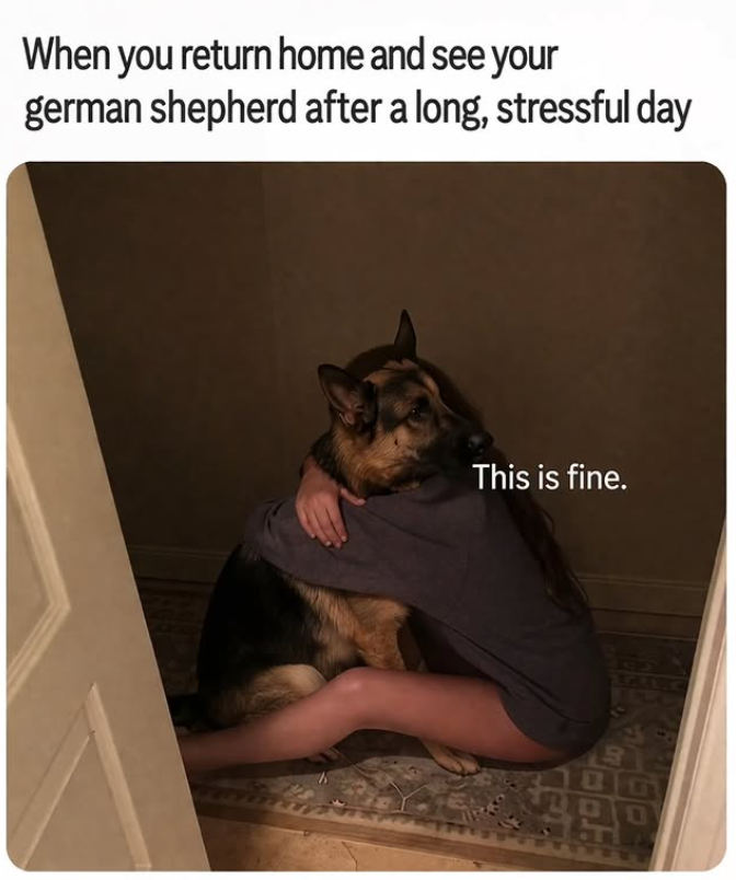 When you return home and see your german shepherd after a long, stressful day This is fine. AGREIC