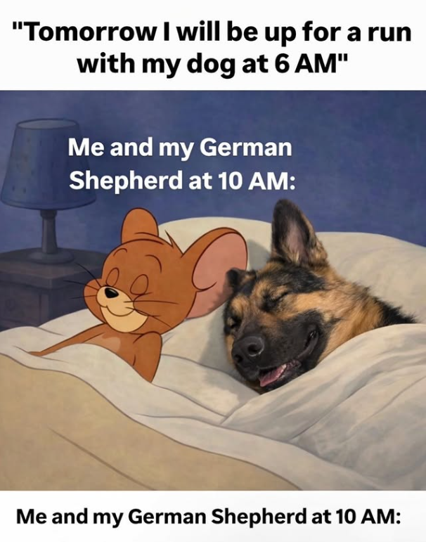"Tomorrow I will be up for a run with my dog at 6 AM" Me and my German Shepherd at 10 AM: Me and my German Shepherd at 10 AM:
