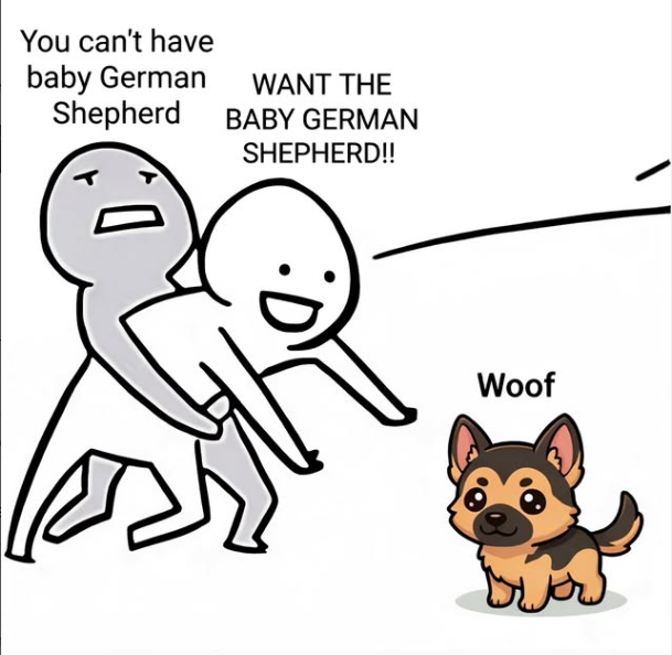 You can't have baby German Shepherd WANT THE BABY GERMAN SHEPHERD!! Woof 1