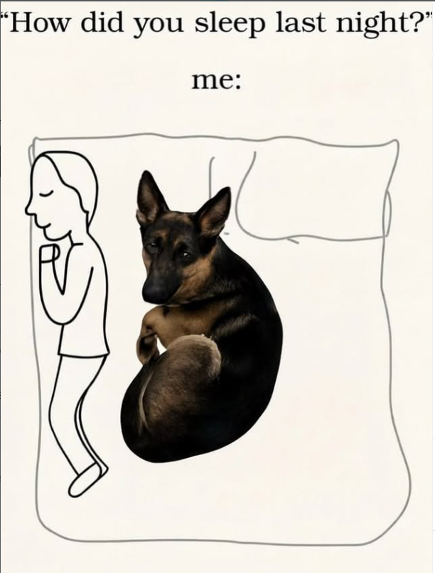 "How did you sleep last night?" me: