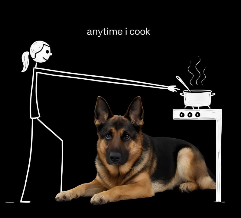 anytime i cook 00