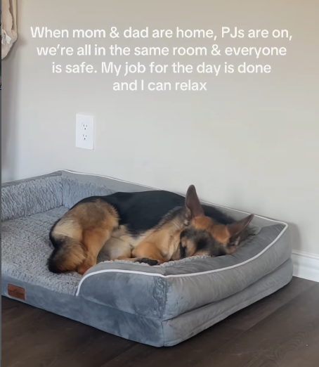 When mom & dad are home, PJs are on, we're all in the same room & everyone is safe. My job for the day is done and I can relax