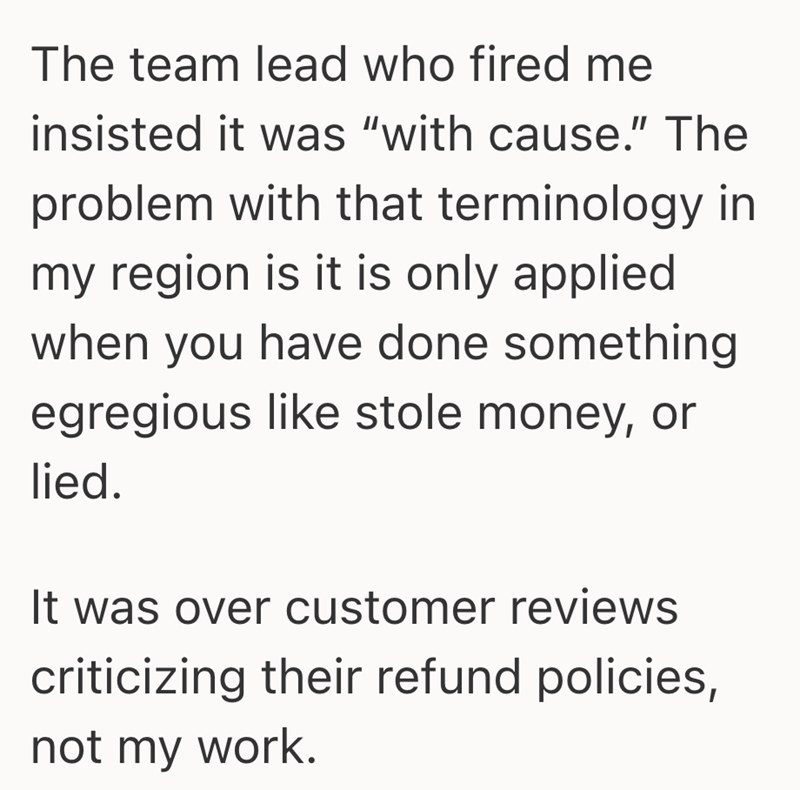 Boss Fires Top performing Employee Because Their Customer Reviews Weren 
