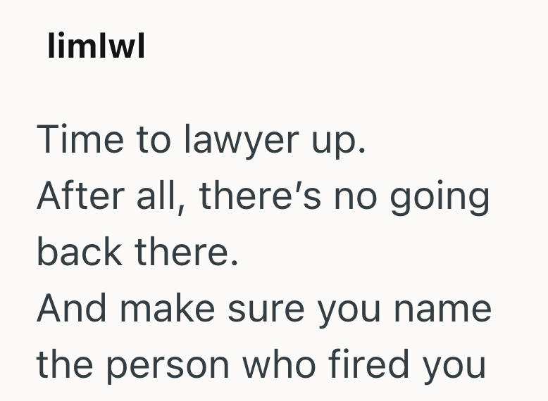 limlwl Time to lawyer up. After all, there's no going back there. And make sure you name the person who fired you