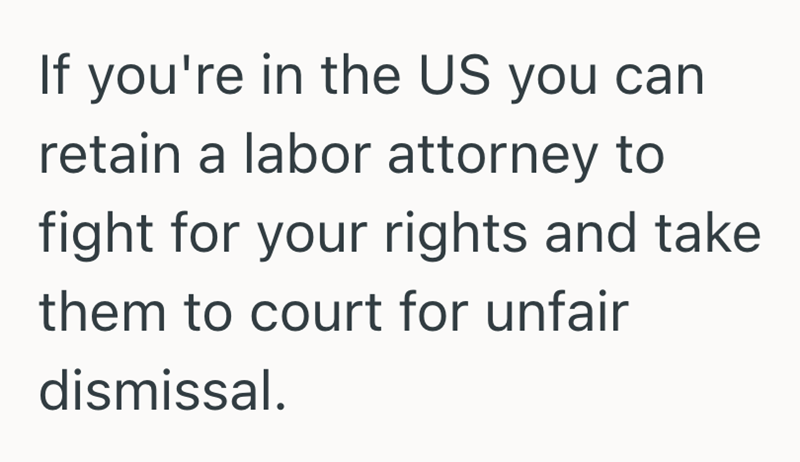 If you're in the US you can retain a labor attorney to fight for your rights and take them to court for unfair dismissal.