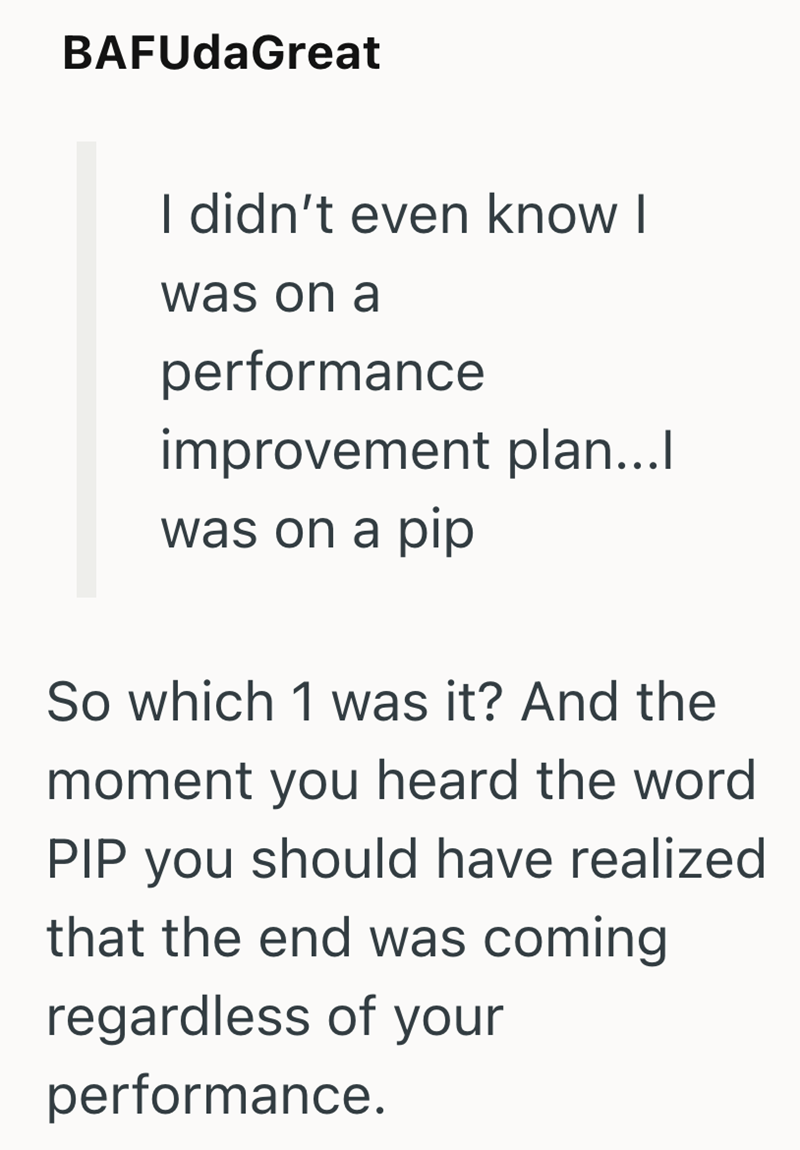 BAFUdaGreat I didn't even know I was on a performance improvement plan...I was on a pip So which 1 was it? And the moment you heard the word PIP you should have realized that the end was coming regardless of your performance.
