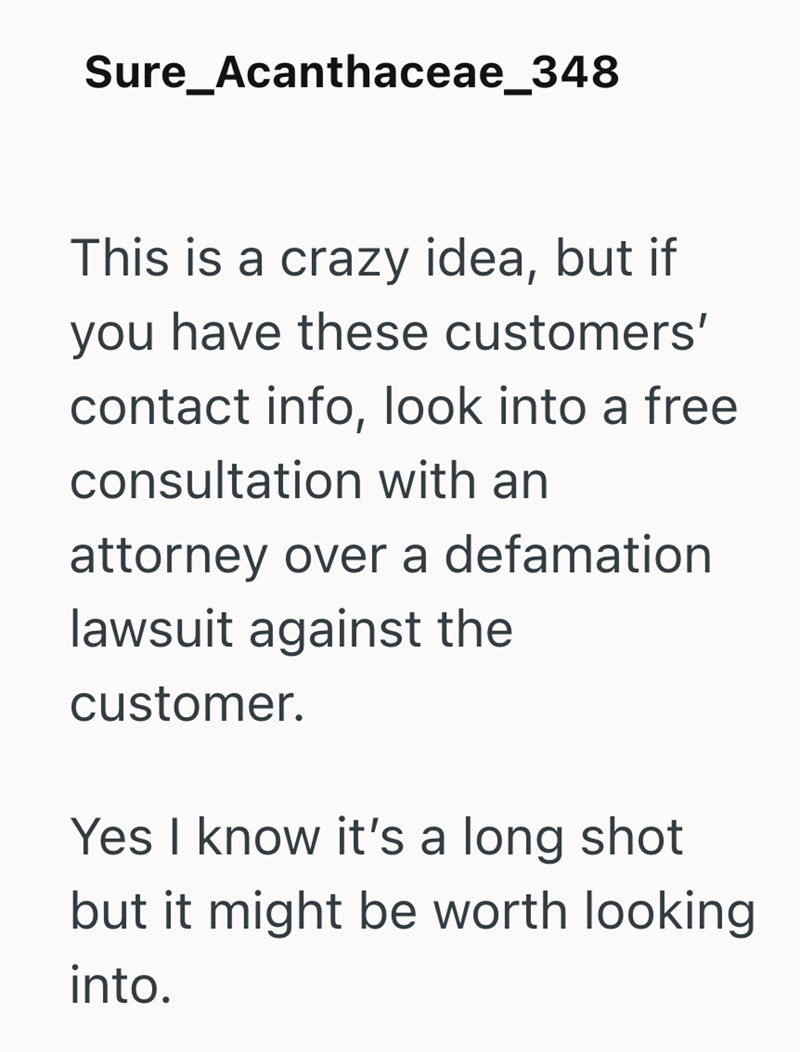 Sure_Acanthaceae_348 This is a crazy idea, but if you have these customers' contact info, look into a free consultation with an attorney over a defamation lawsuit against the customer. Yes I know it's a long shot but it might be worth looking into.